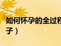 如何懷孕的全過程教程（男生和女生怎樣生孩子）
