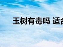玉樹有毒嗎 適合家里養(yǎng)嗎（玉樹有毒）