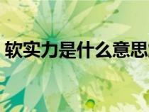 軟實力是什么意思解釋（軟實力是什么意思）