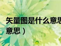矢量圖是什么意思是哪個(gè)軟件（矢量圖是什么意思）