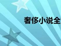 奢侈小說全文閱讀（奢侈小說）
