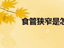 食管狹窄是怎么回事（食管狹窄）