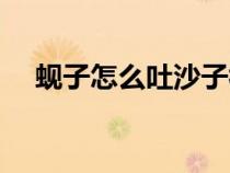 蜆子怎么吐沙子視頻（蜆子怎么吐沙子）