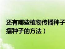 還有哪些植物傳播種子的方法?你知道嗎?（還有哪些植物傳播種子的方法）