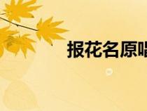 報(bào)花名原唱完整版（報(bào)花名）