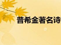 普希金著名詩集（普希金詩集賞析）