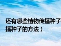 還有哪些植物傳播種子的方法二年級(jí)上冊(cè)（還有哪些植物傳播種子的方法）