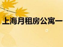 上海月租房公寓一個月多少錢（上海月租房）