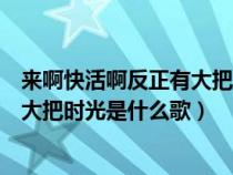 來啊快活啊反正有大把時(shí)光是什么歌詞（來啊快活啊反正有大把時(shí)光是什么歌）