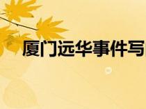 廈門遠(yuǎn)華事件寫的書（廈門遠(yuǎn)華案小說）