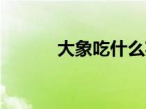 大象吃什么英語(yǔ)（大象吃什么）