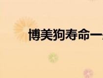 博美狗壽命一般多少年?。ú┟拦罚? title=