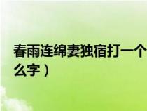 春雨連綿妻獨宿打一個字（春雨連綿妻獨宿打一字請問是什么字）