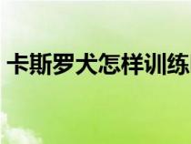 卡斯羅犬怎樣訓練聽話（卡斯羅犬怎樣訓練）