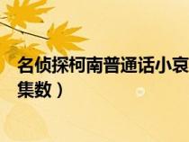 名偵探柯南普通話小哀第幾集出場（名偵探柯南小哀出現(xiàn)的集數(shù)）
