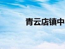 青云店鎮(zhèn)中心衛(wèi)生院（青云店）