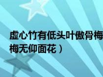 虛心竹有低頭葉傲骨梅無仰面花作文（虛心竹有低頭葉傲骨梅無仰面花）