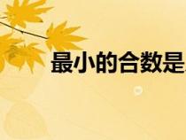 最小的合數(shù)是幾（最小的奇數(shù)是幾）