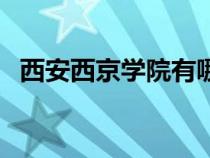 西安西京學院有哪些專業(yè)（西安西京學院）