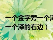 一個金字旁一個澤的右邊怎么讀（一個金字旁一個澤的右邊）