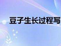 豆子生長過程寫四句話（豆子生長過程）