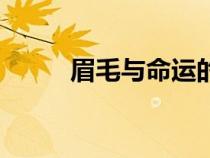 眉毛與命運(yùn)的關(guān)系（眉毛與命運(yùn)）