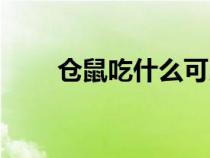 倉(cāng)鼠吃什么可以變胖（倉(cāng)鼠吃什么）