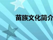 苗族文化簡介ppt（苗族文化簡介）