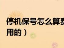 停機保號怎么算費用（停機保號后怎么收取費用的）