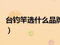 臺釣竿選什么品牌的好（臺釣魚竿什么牌子好）