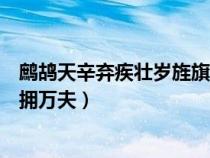 鷓鴣天辛棄疾壯歲旌旗擁萬(wàn)夫拼音（鷓鴣天辛棄疾壯歲旌旗擁萬(wàn)夫）