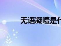 無語凝噎是什么意思（無語凝噎）