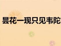 曇花一現(xiàn)只見(jiàn)韋陀(曇花一現(xiàn)只為韋陀典故) 曇花一現(xiàn)只見(jiàn)韋陀(曇花一現(xiàn)只為韋陀典故)