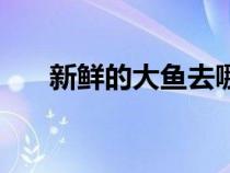 新鮮的大魚(yú)去哪釣魚(yú)呢（新鮮的大魚(yú)）