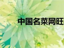 中國(guó)名菜網(wǎng)旺菜秘籍(中國(guó)名菜網(wǎng)) 中國(guó)名菜網(wǎng)旺菜秘籍(中國(guó)名菜網(wǎng))