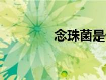 念珠菌是什么?。钪榫? title=