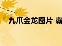 九爪金龍圖片 霸氣（龍圖片之九爪金龍）