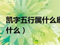 凱字五行屬什么康熙字典多少畫（凱字五行屬什么）