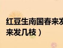 紅豆生南國春來發(fā)幾枝的意思（紅豆生南國春來發(fā)幾枝）