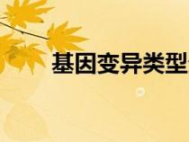 基因變異類(lèi)型分類(lèi)（基因變異類(lèi)型）