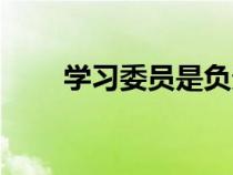 學(xué)習(xí)委員是負(fù)責(zé)什么的(學(xué)習(xí)委員) 學(xué)習(xí)委員是負(fù)責(zé)什么的(學(xué)習(xí)委員)