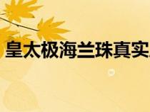 皇太極海蘭珠真實歷史（皇太極東哥海蘭珠）