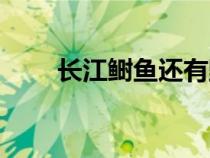 長江鰣魚還有野生的嗎（長江鰣魚）