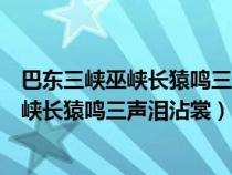 巴東三峽巫峽長猿鳴三聲淚沾裳的意思是什么（巴東三峽巫峽長猿鳴三聲淚沾裳）