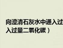 向澄清石灰水中通入過(guò)量二氧化碳的現(xiàn)象(澄清石灰水中通入過(guò)量二氧化碳) 向澄清石灰水中通入過(guò)量二氧化碳的現(xiàn)象(澄清石灰水中通入過(guò)量二氧化碳)