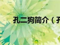 孔二狗簡介（孔二狗寫的趙紅兵是誰）