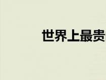 世界上最貴的玩具車（世界上）