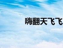 嗨翻天飛飛攻略（嗨翻天飛飛）