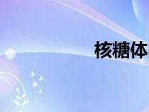 核糖體的結(jié)構(gòu)（核糖）