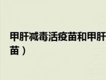 甲肝減毒活疫苗和甲肝滅活疫苗有什么區(qū)別（甲肝減毒活疫苗）